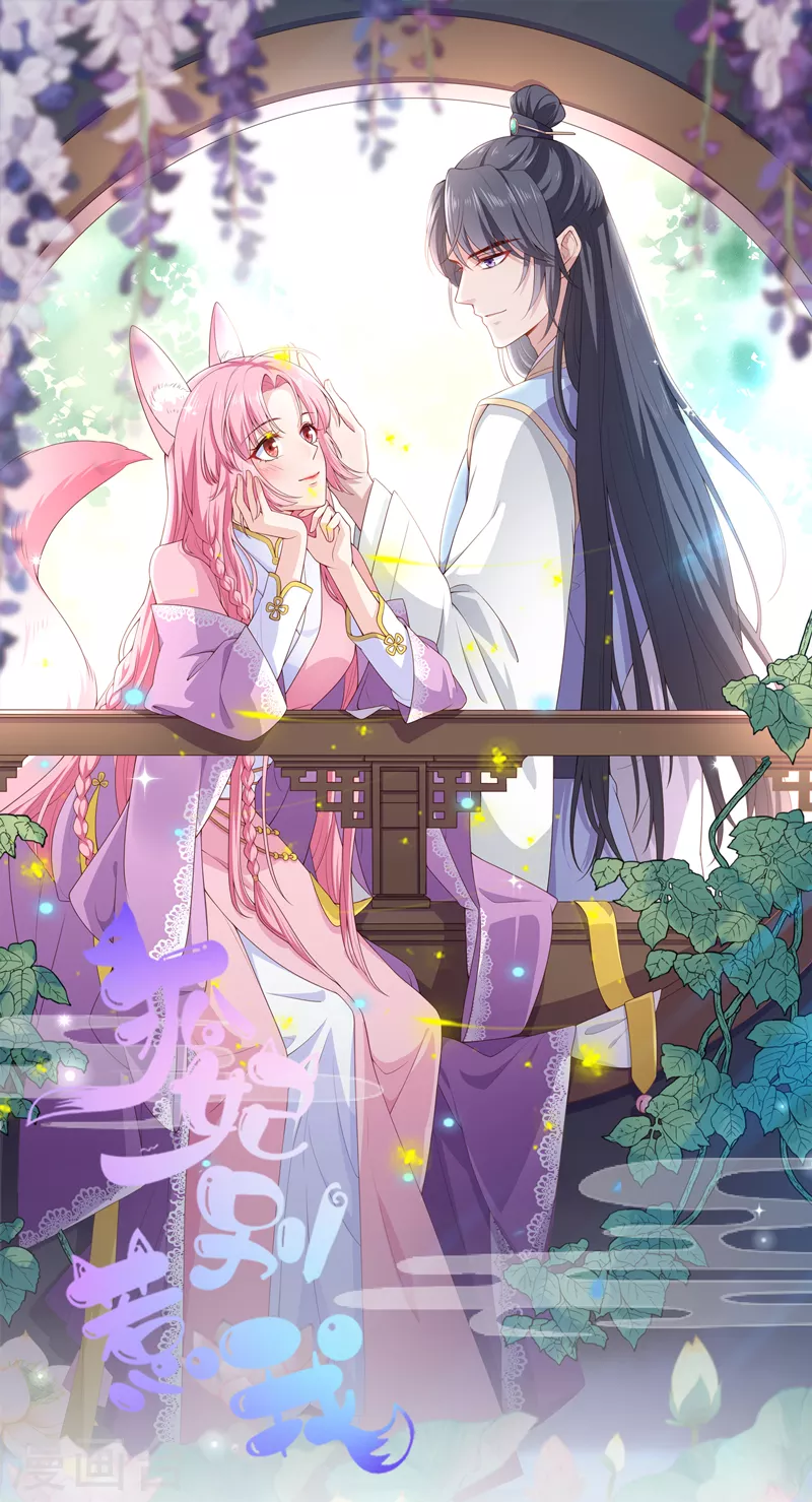 后记3 后续之事（下）0