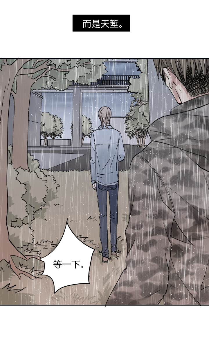 32 苦果14