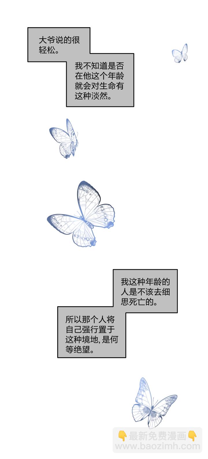 41 既美丽又脆弱的事物5