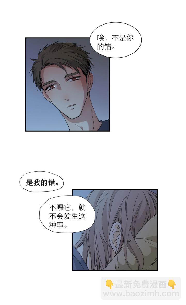 101 猫与秘密10