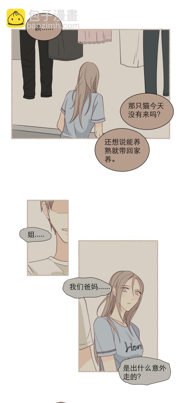 101 猫与秘密14