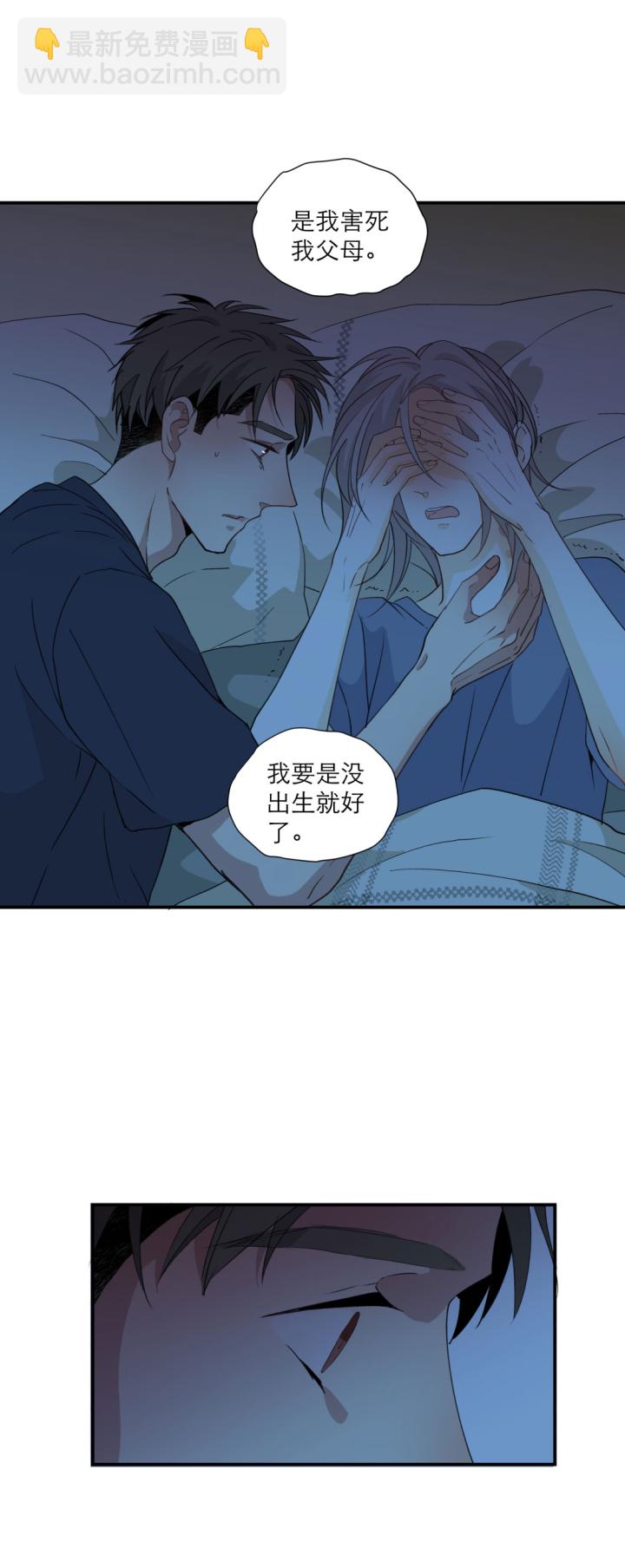 101 猫与秘密17