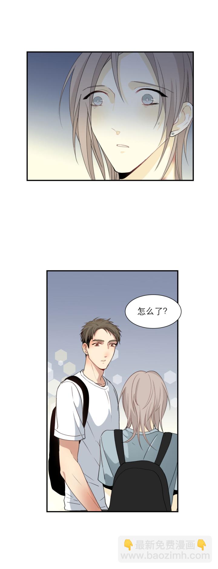 101 猫与秘密2