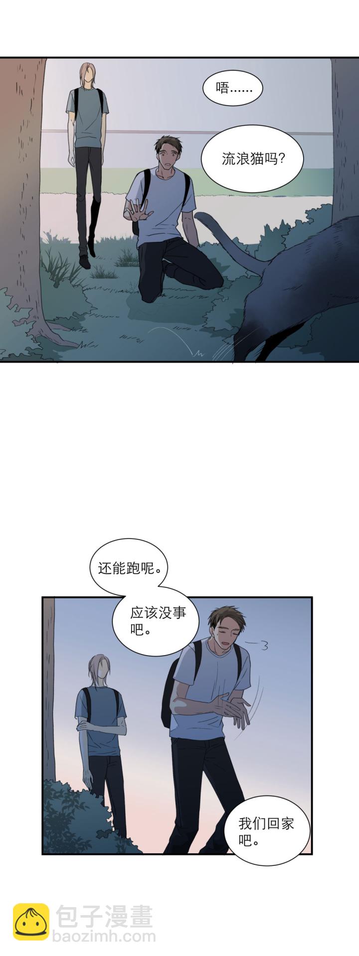 101 猫与秘密5