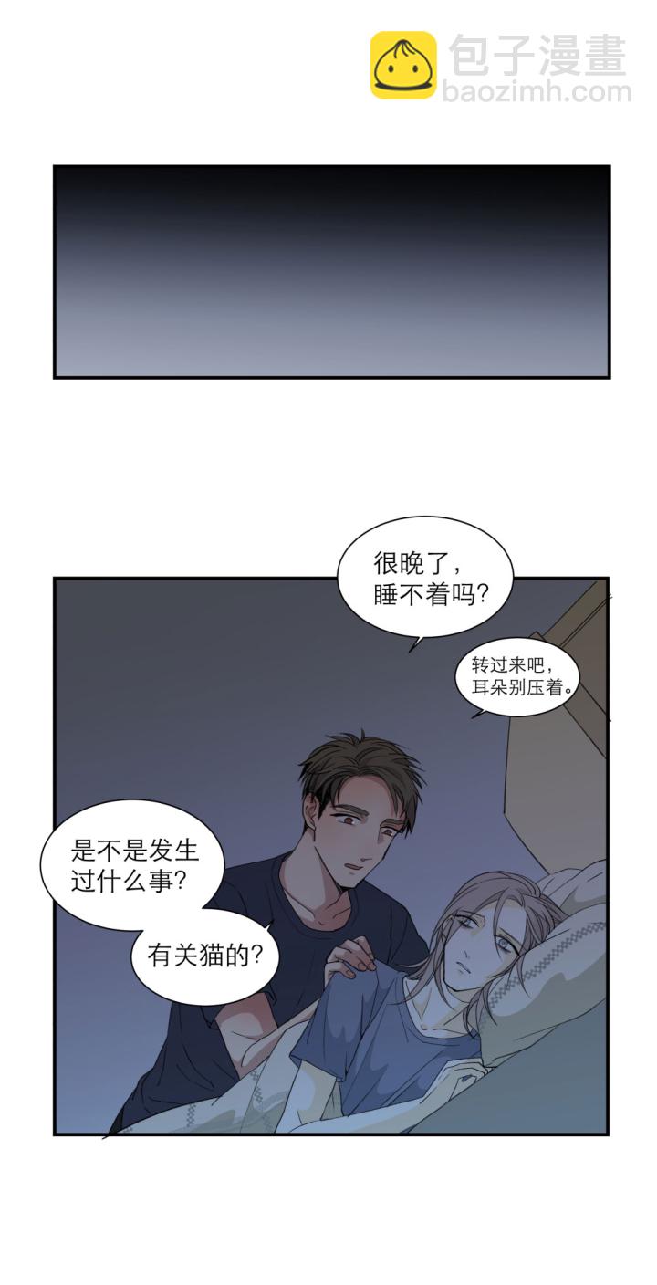 101 猫与秘密8