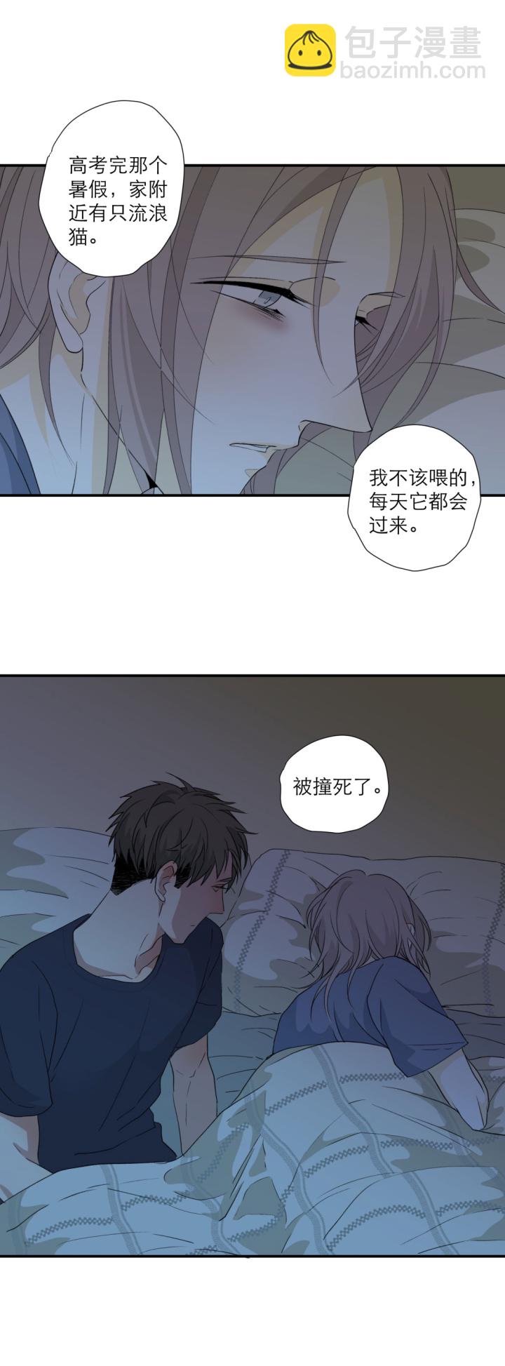 101 猫与秘密9