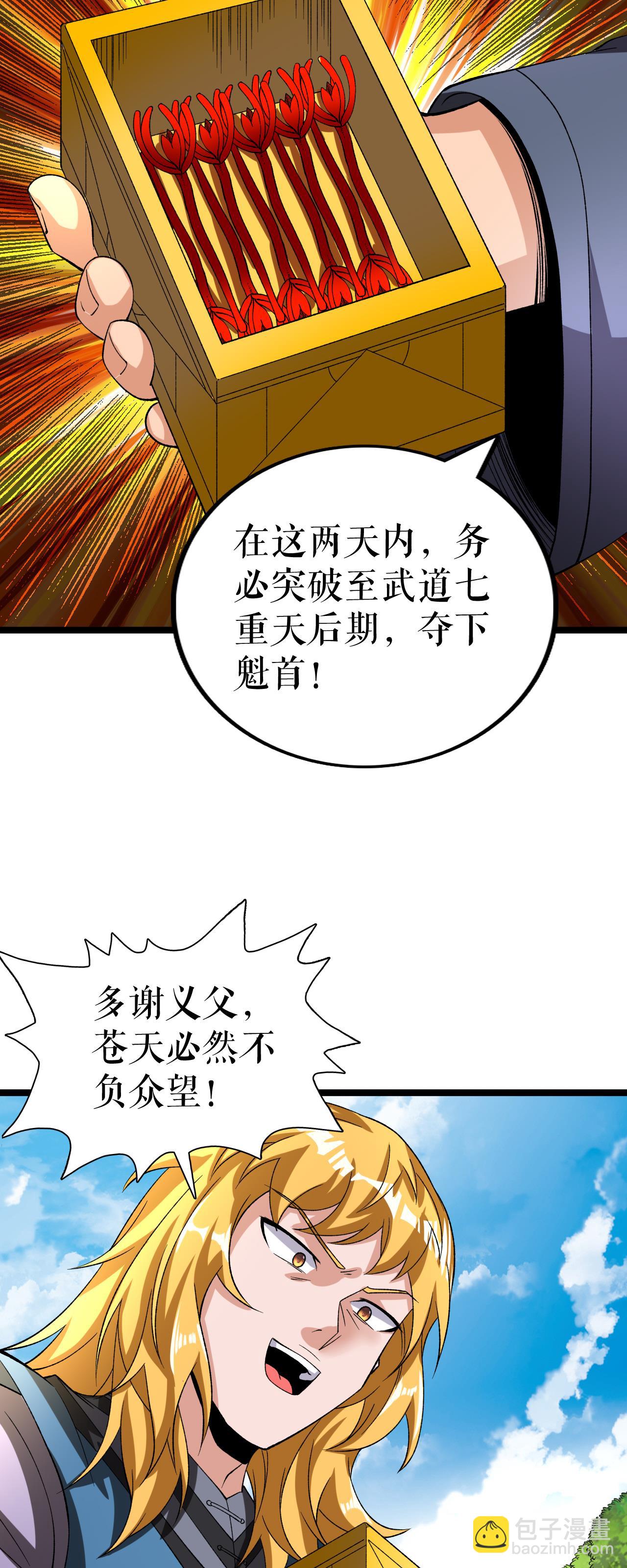 第77话 叶苍天的阴谋3
