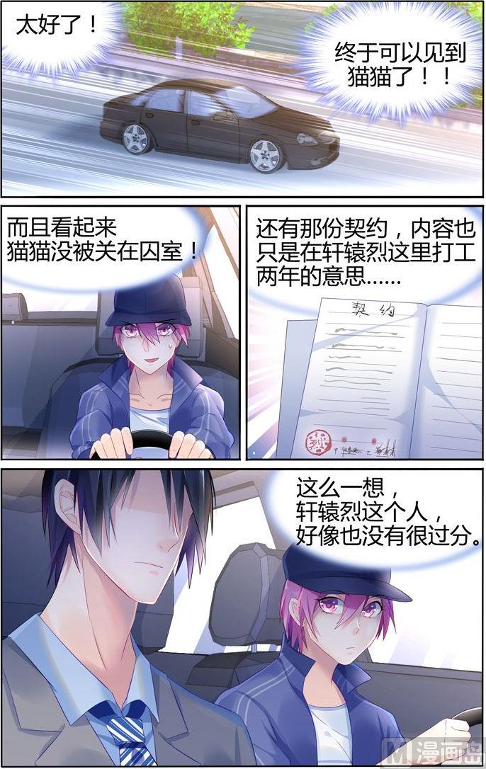 第19话 机灵的猫猫0