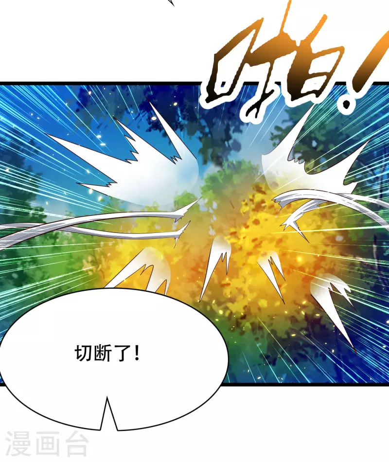 第35话 下一关boss出现！29