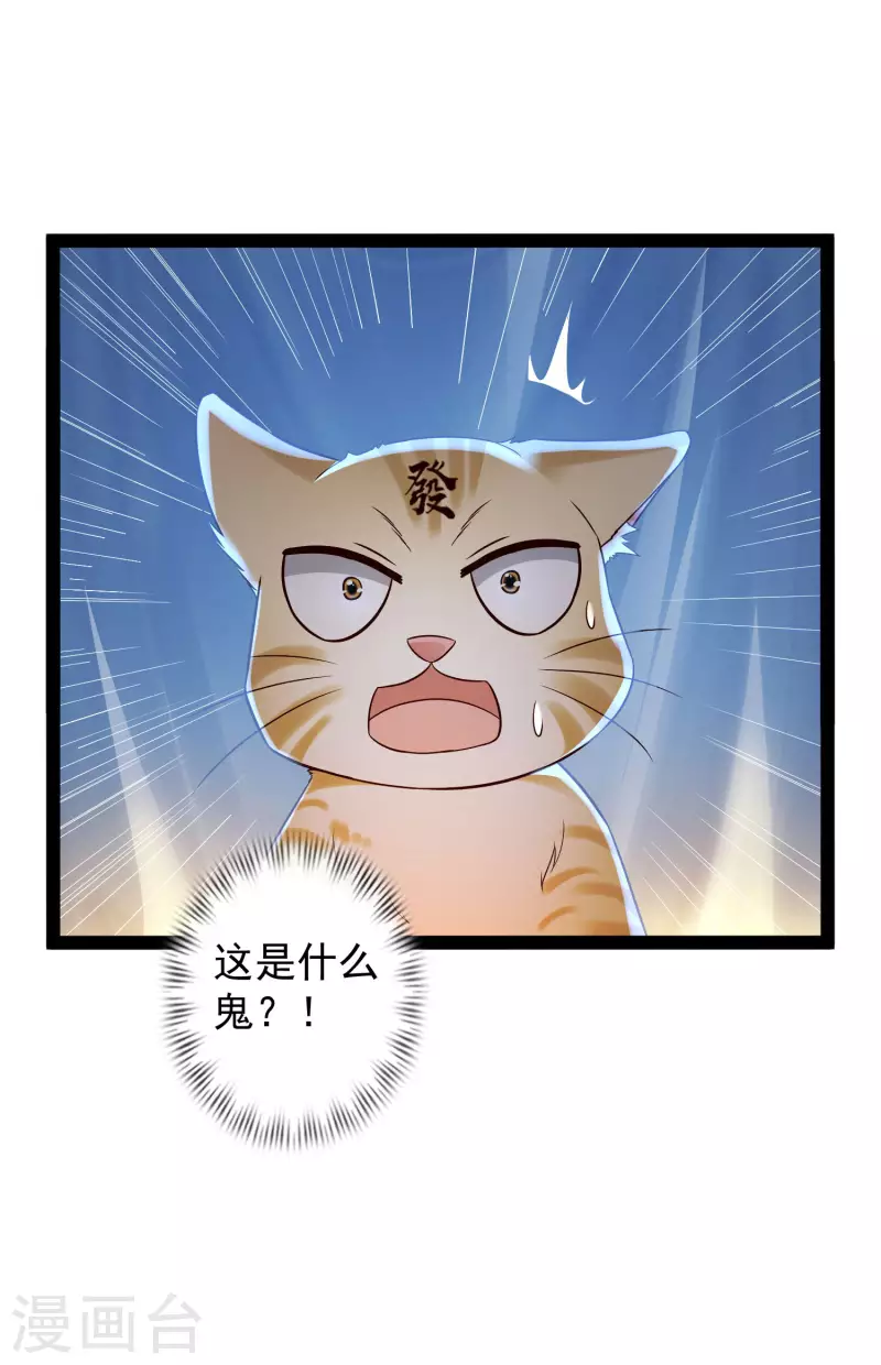 第65话 你这个小机灵喵~9