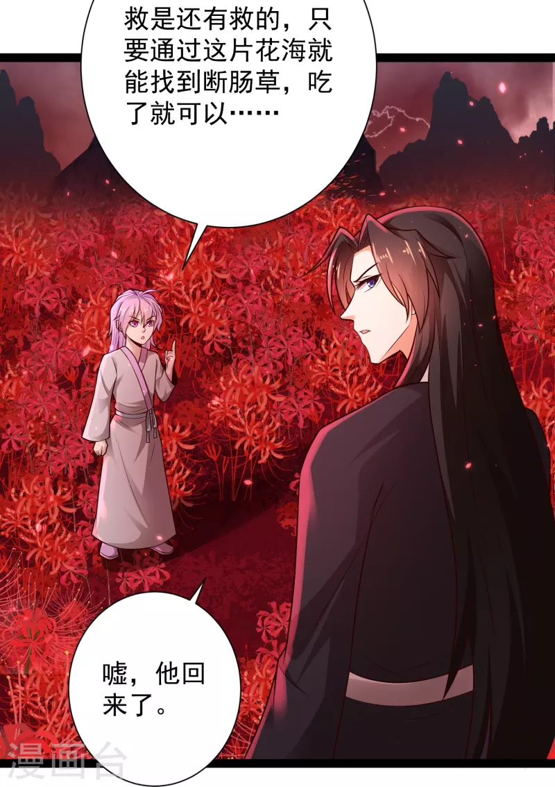 第81话 糟了，被围攻了29