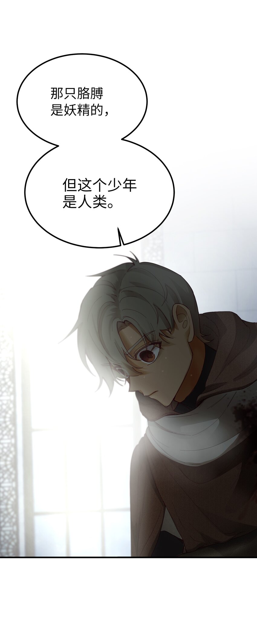 109 声东击西48
