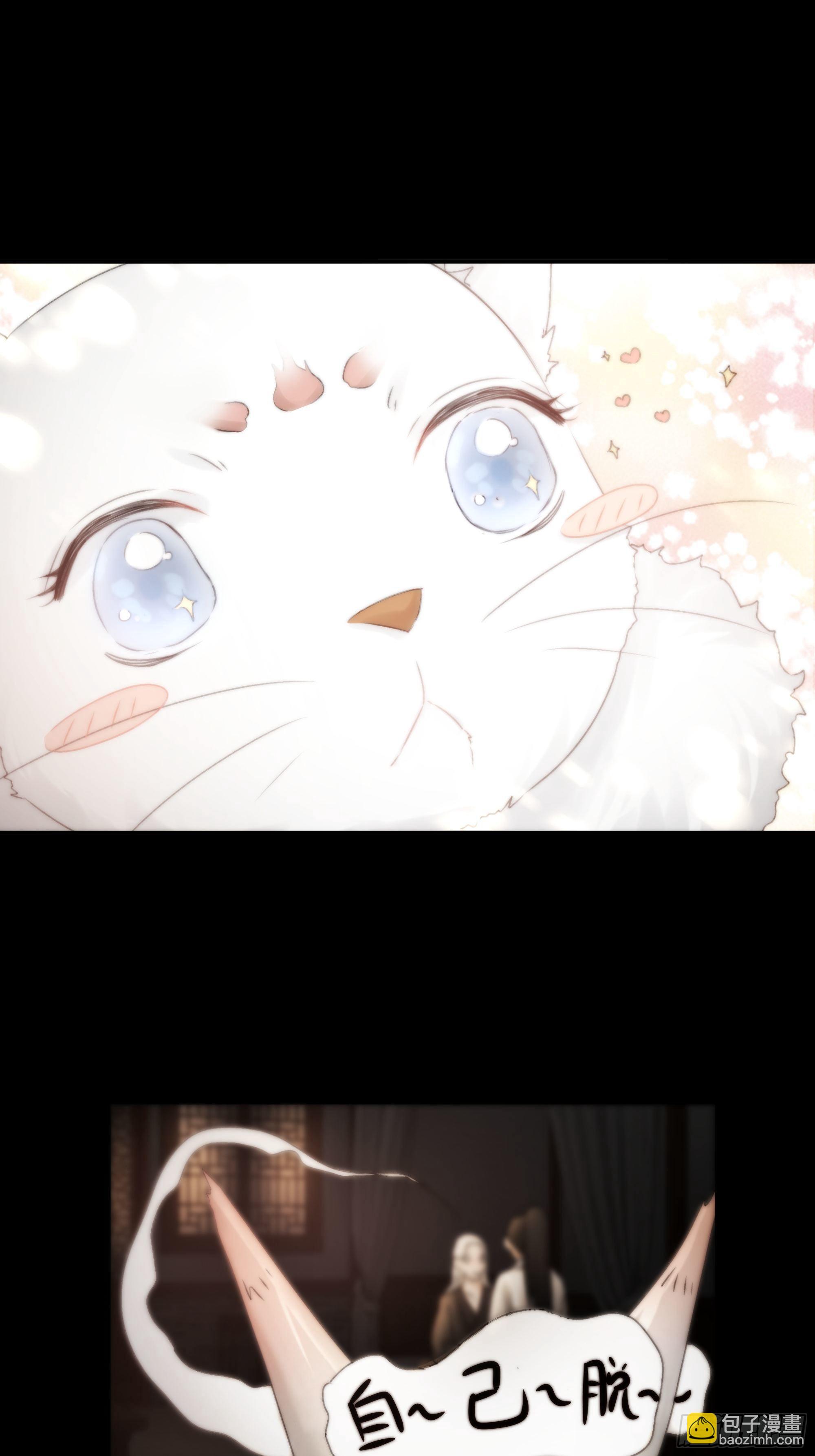 杀！还是……不杀？30