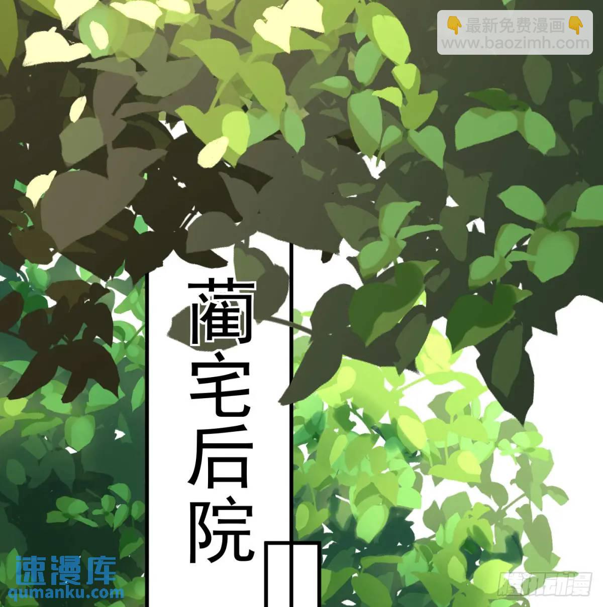 提亲81