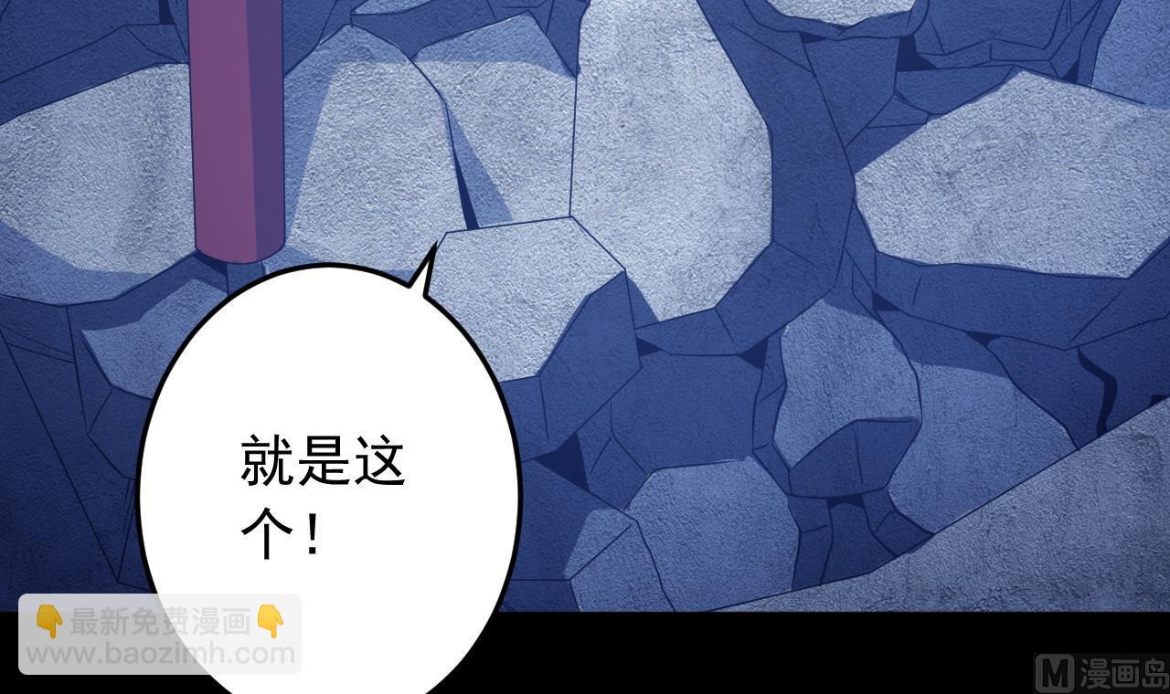 第137话 同伴的力量41