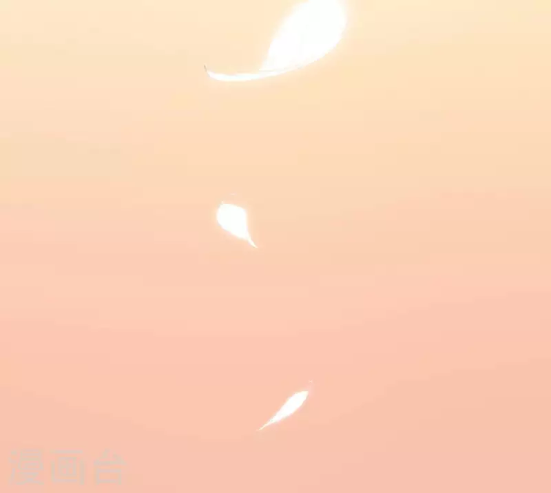 第115话 生日礼物111