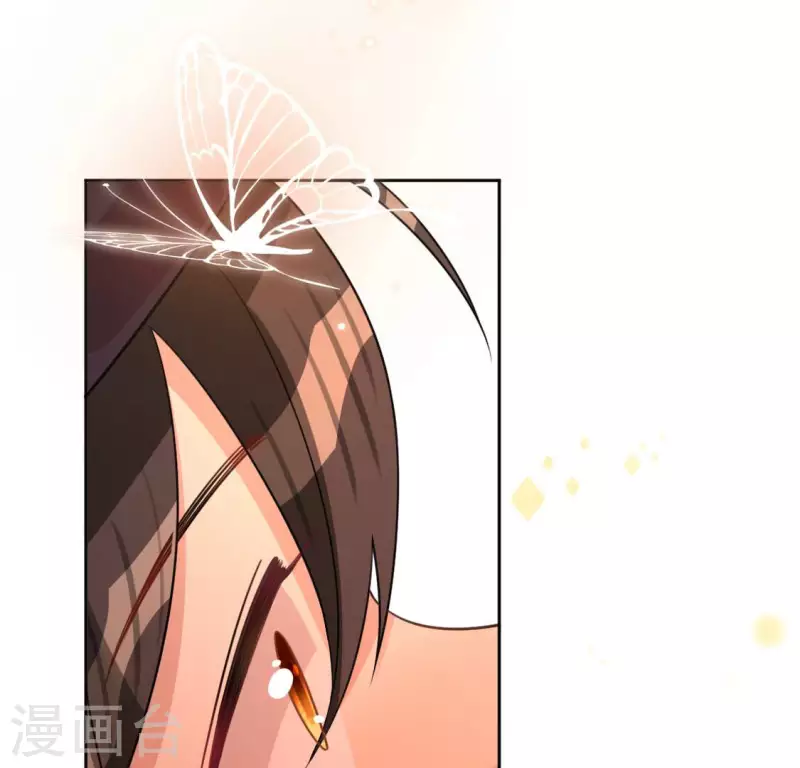 第115话 生日礼物126