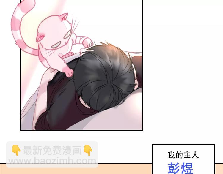 序章 我的宠物是人类（喵~）2