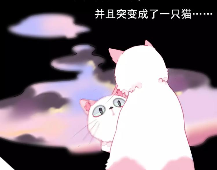 第1话 从天而降的萌宠1