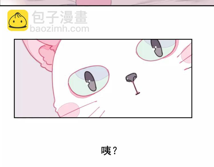 第1话 从天而降的萌宠11
