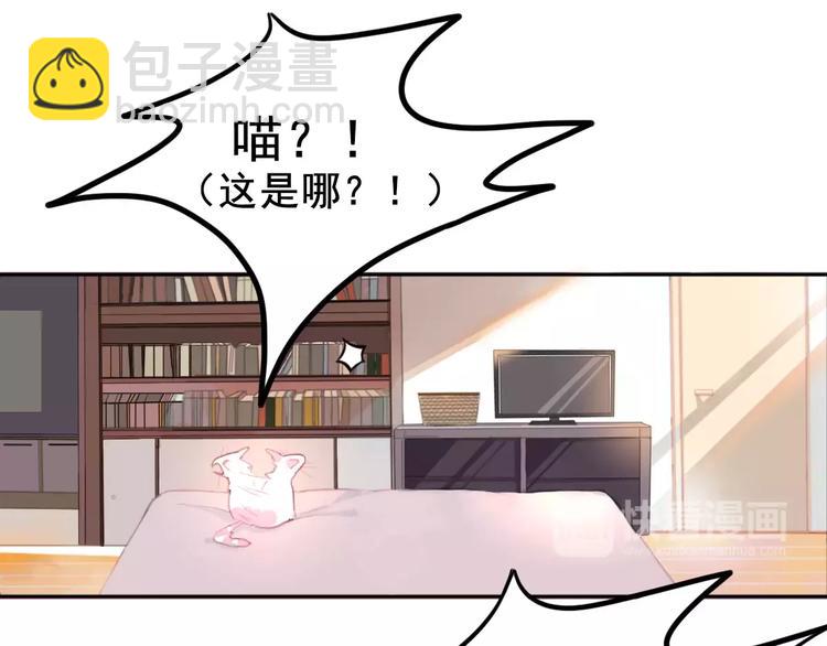 第1话 从天而降的萌宠15