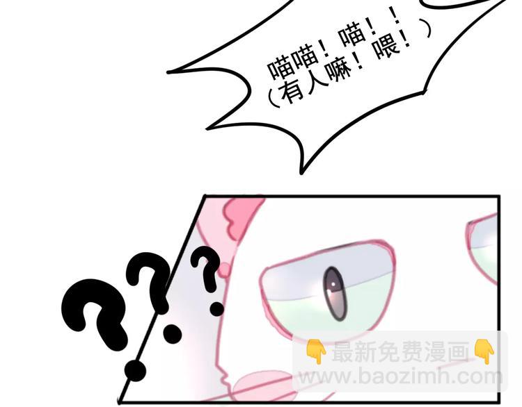 第1话 从天而降的萌宠16