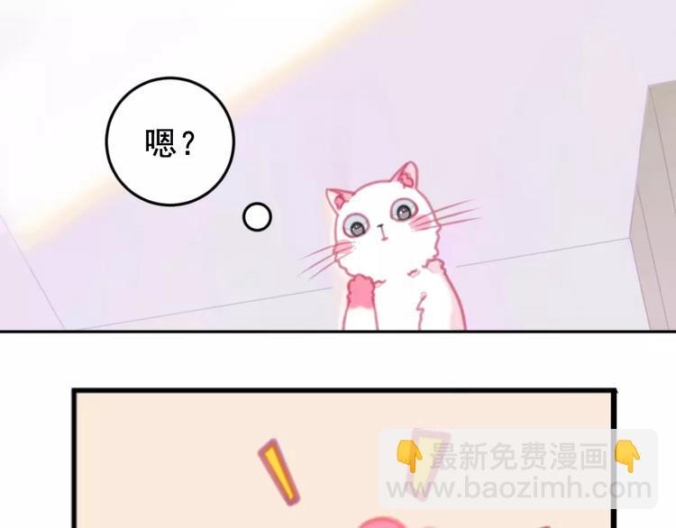 第1话 从天而降的萌宠18