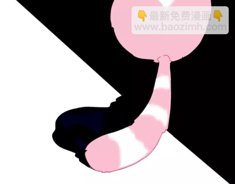 第1话 从天而降的萌宠2
