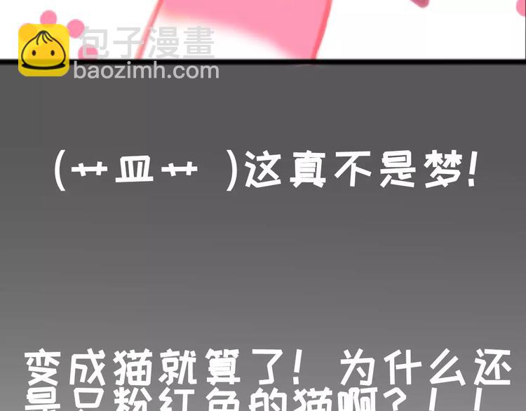 第1话 从天而降的萌宠28