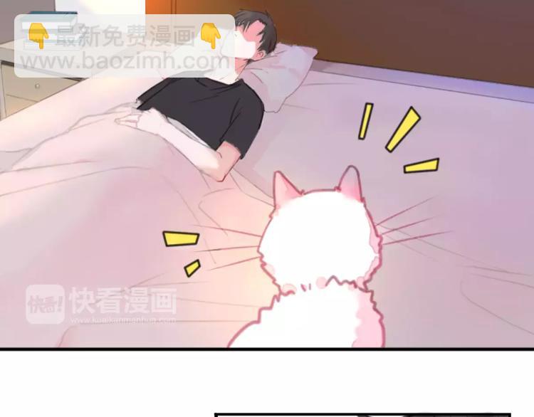 第1话 从天而降的萌宠32