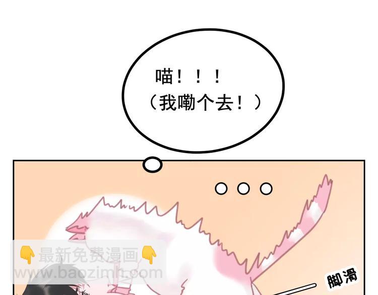 第1话 从天而降的萌宠42
