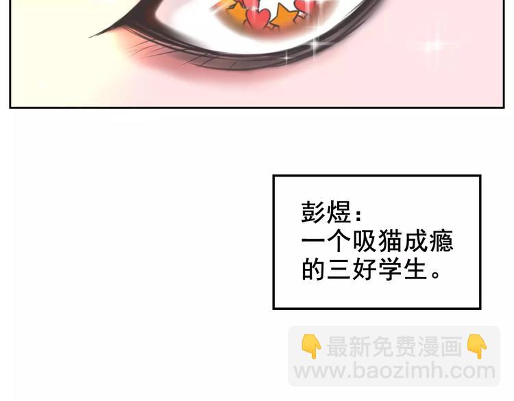 第1话 从天而降的萌宠45