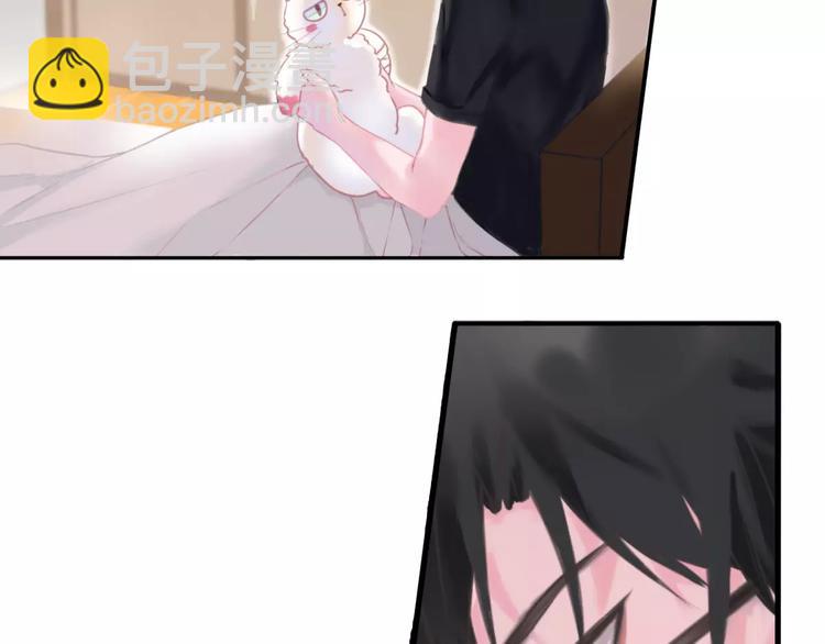 第1话 从天而降的萌宠54