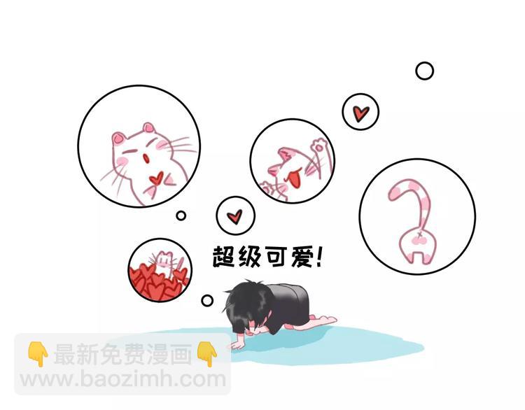 第1话 从天而降的萌宠56