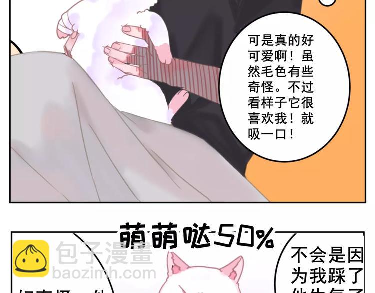 第1话 从天而降的萌宠58