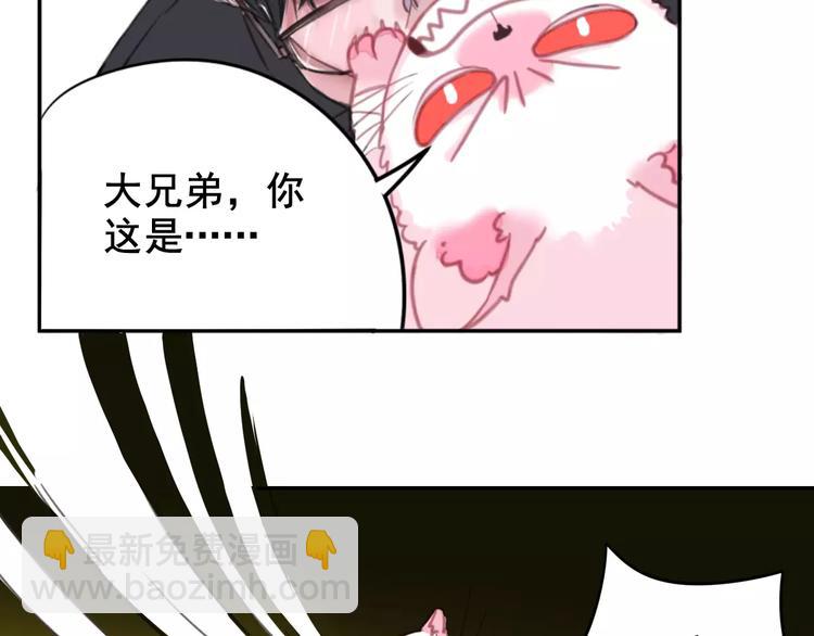 第1话 从天而降的萌宠78