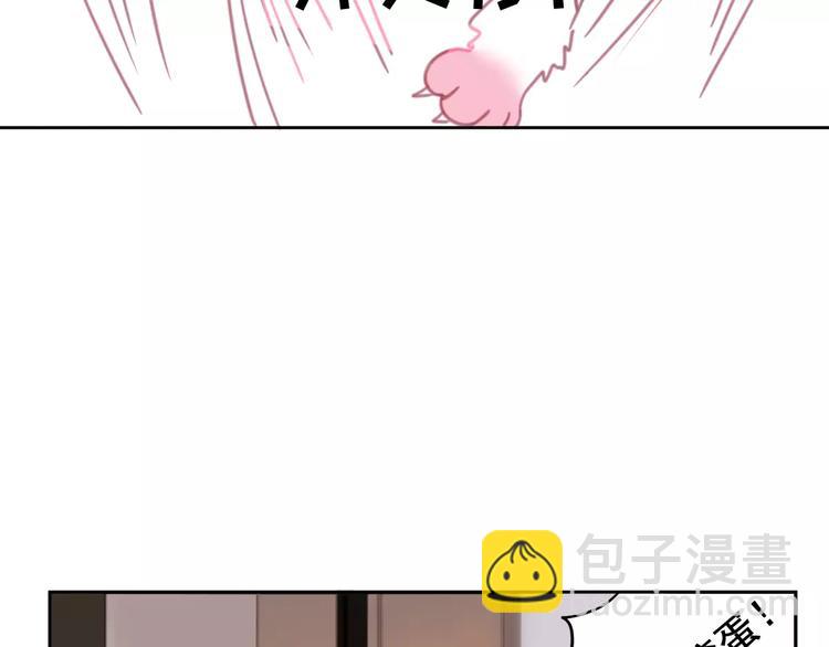 第1话 从天而降的萌宠85