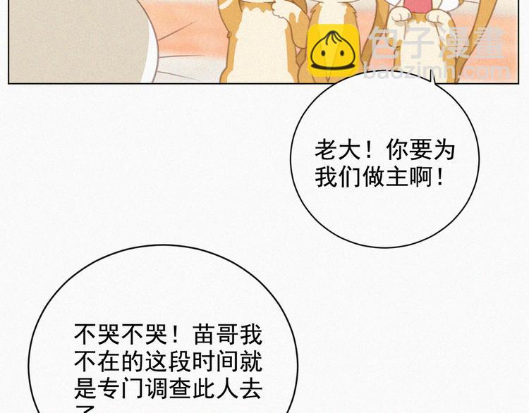 第33话 我的情敌是只猫？10