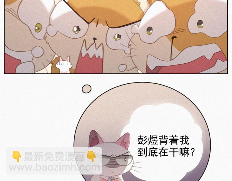 第33话 我的情敌是只猫？13