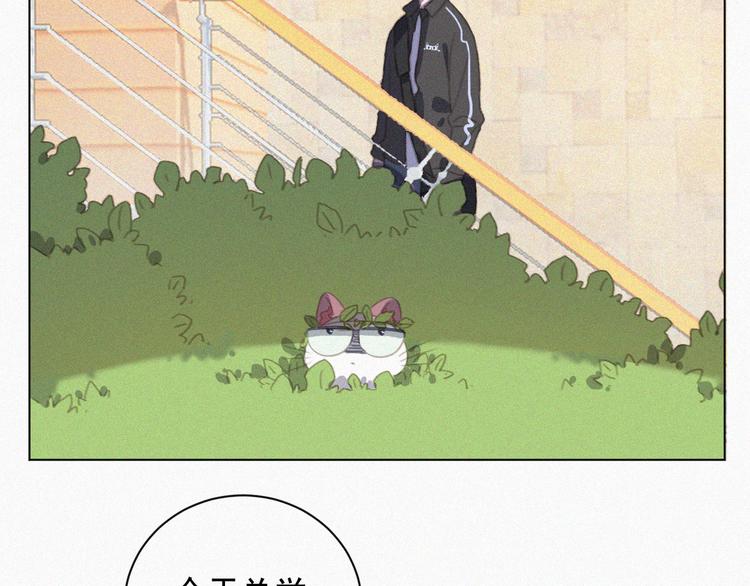 第33话 我的情敌是只猫？21