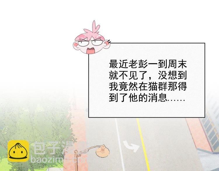 第33话 我的情敌是只猫？3