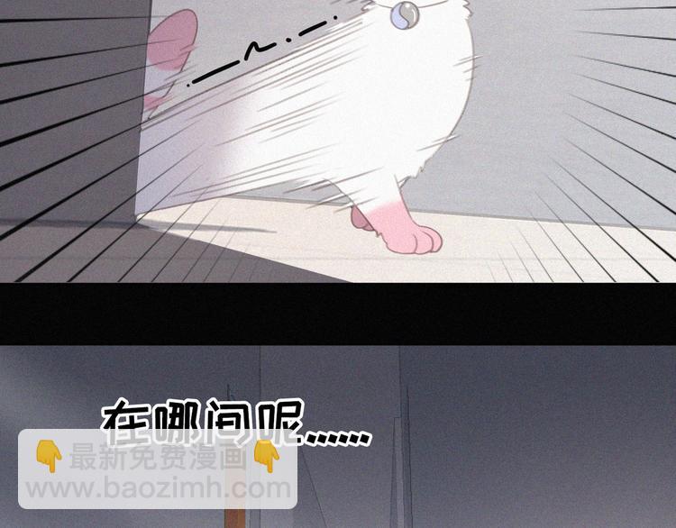 第33话 我的情敌是只猫？39