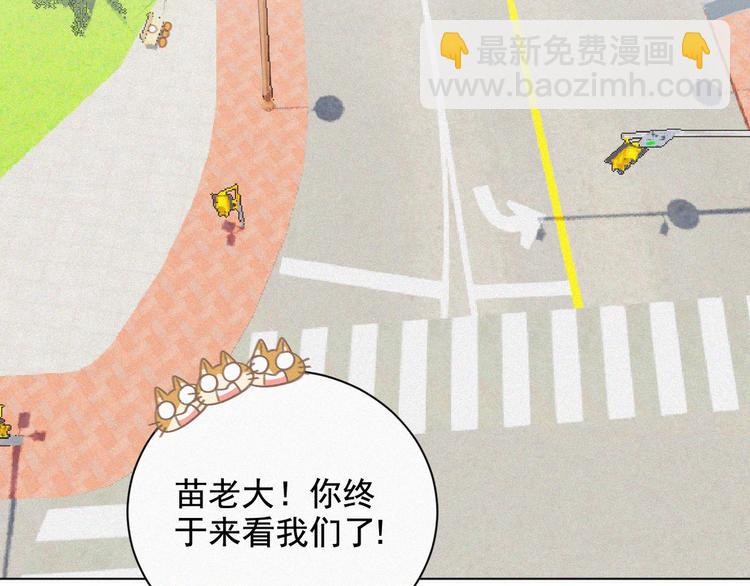 第33话 我的情敌是只猫？4