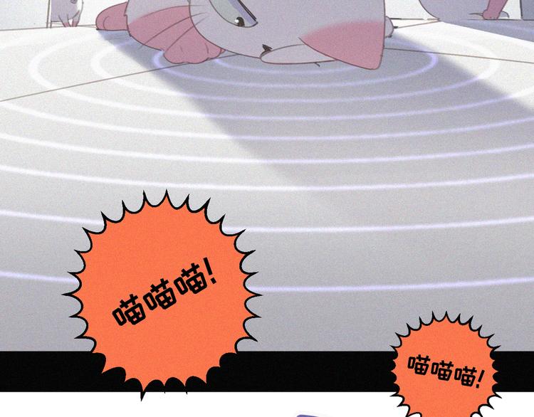 第33话 我的情敌是只猫？43
