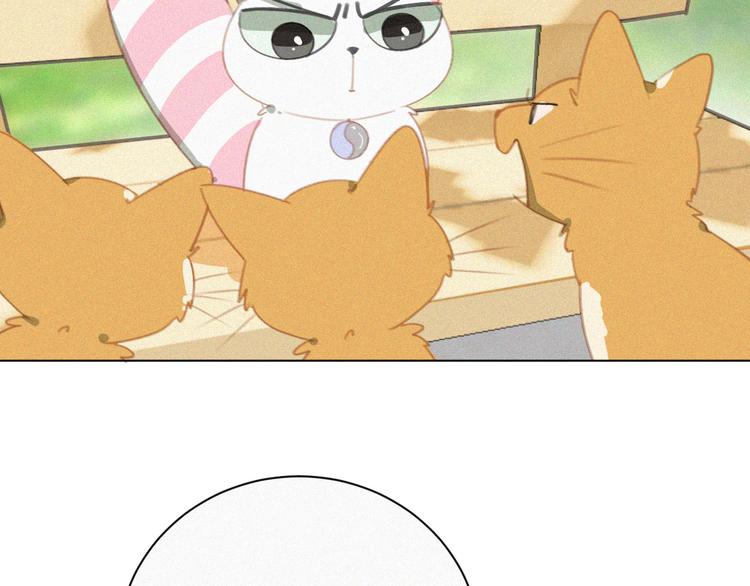 第33话 我的情敌是只猫？6