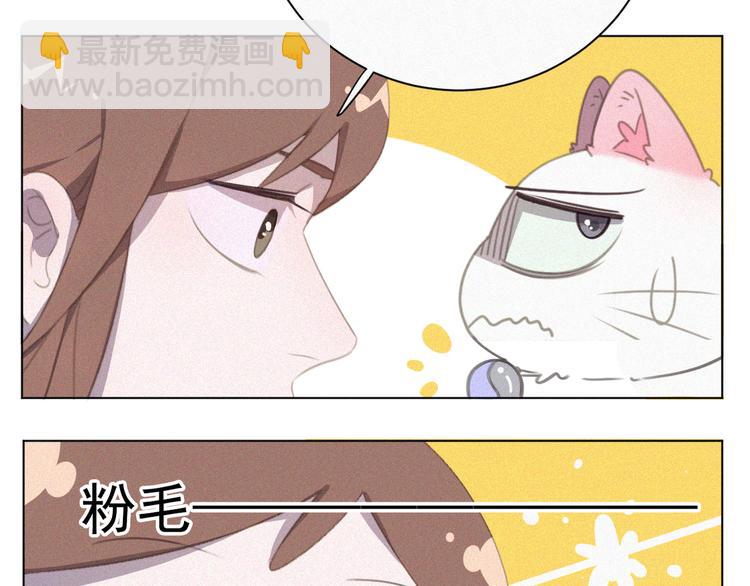 第33话 我的情敌是只猫？64