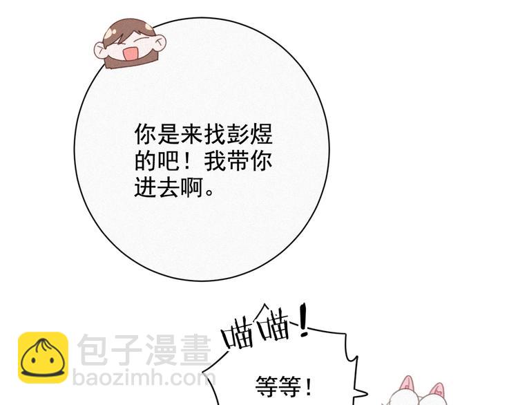 第33话 我的情敌是只猫？67