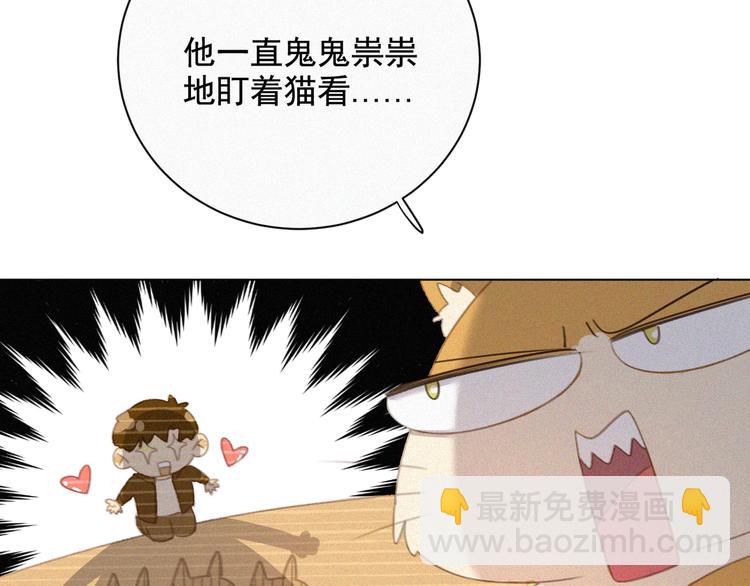 第33话 我的情敌是只猫？7