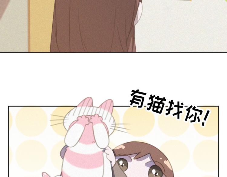 第33话 我的情敌是只猫？70