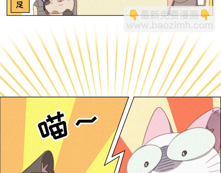 第33话 我的情敌是只猫？84